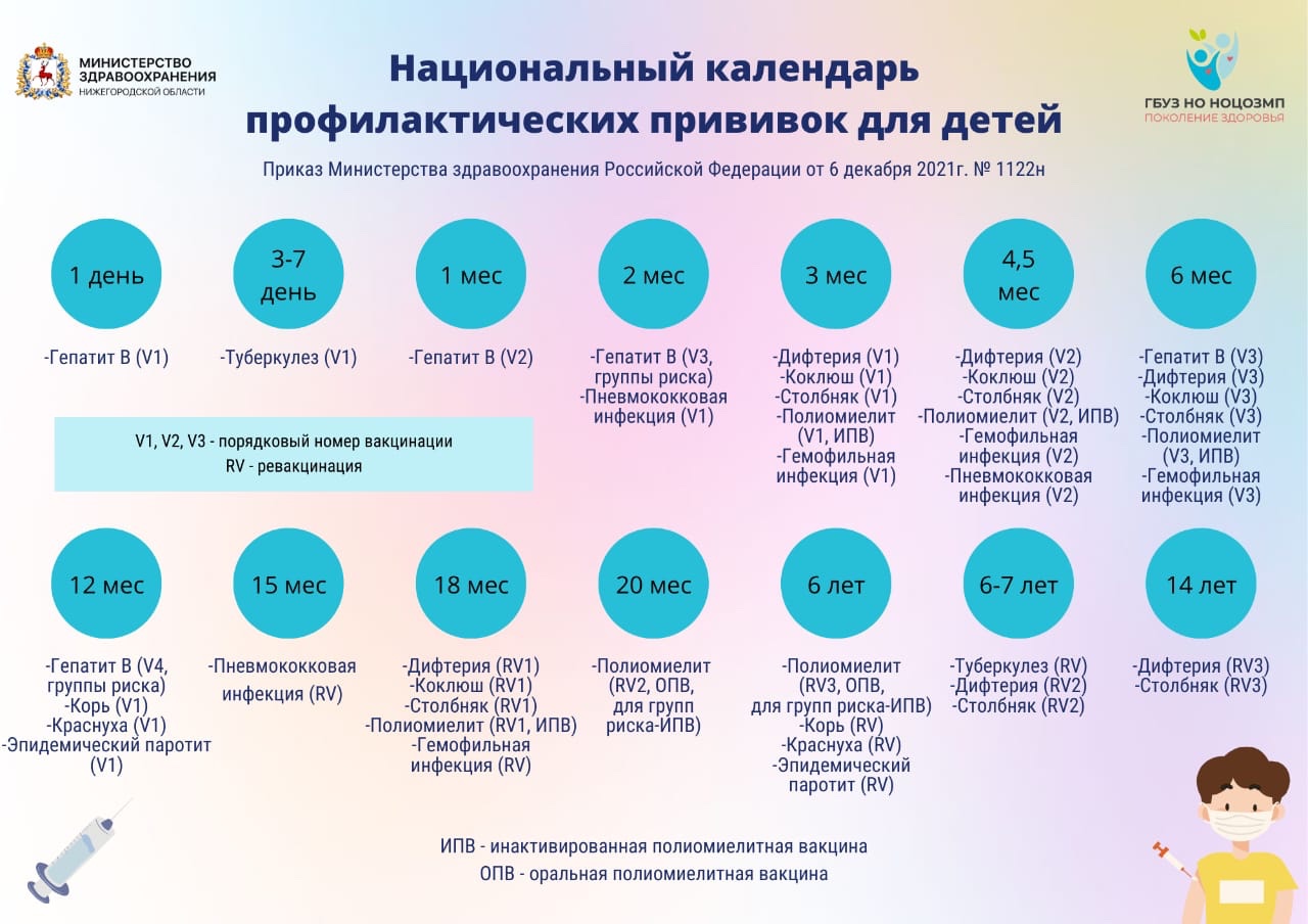 Администрация Сосновского округа Нижегородской области - Национальный календарь  профилактических прививок для детей