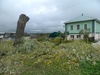 DSCN7226