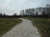 DSCN7421