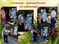 Foto7654