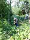 IMG 3b71f55650c81dc794f64fab9cc32c7b V 1