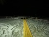 IMG 0434