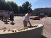 IMG 0559