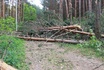 IMG 0828