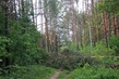 IMG 0843
