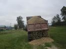 IMG 4368