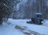 IMG 5486