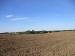 IMG 0412 copy