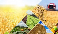 agro