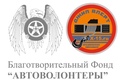 Avtovolonteri