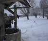 Рожок IMG 3789