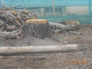 DSCN0070
