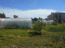 DSCN0222
