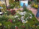 DSCN0255