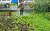 DSCN1944