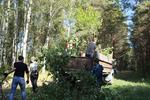 IMG 0737