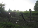IMG 4178