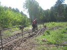 IMG 4185