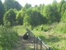 IMG 4191