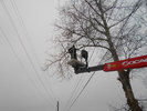 DSCN0468