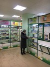 Мониторинг в аптеке Имплозия copy